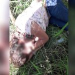 752a27e0-9400-44e0-b137-9c22eb15d8d0