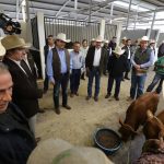 TAM-137-2018.-Muestra Tamaulipas lo mejor de su ganadería con subasta en la Feria Tam 2018 (1)