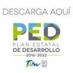 xbanner-ped-300×167-300×167.jpg.pagespeed.ic.KuLpuYNpWx