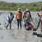 SDU-053-2018.-Beneficiará a cooperativistas reforestación de mangle del Gobierno del Estado (4)