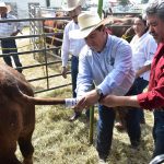 SRU-055-2018.-Tamaulipas deja huella con el Programa de Mejoramiento Genético Pecuario Tam 2018 (3)