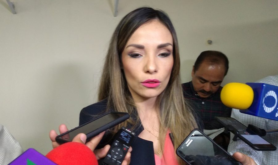 María de los Ángeles Quintero Rentería. Presidenta del IETAM