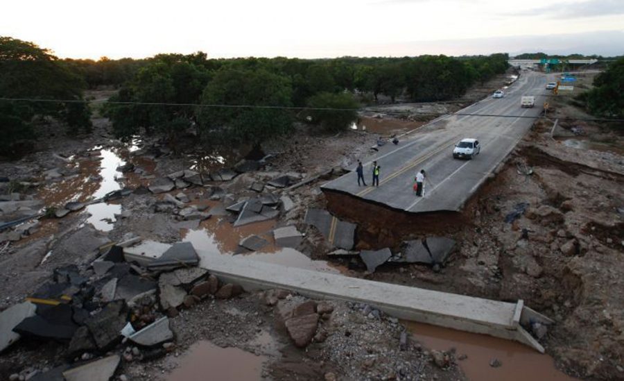 81026069__x28905188x_crop1557683310131.jpg_1970638775