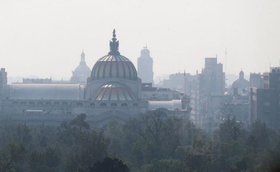 cdmxsun_crop1557869563587.jpg_1970638775