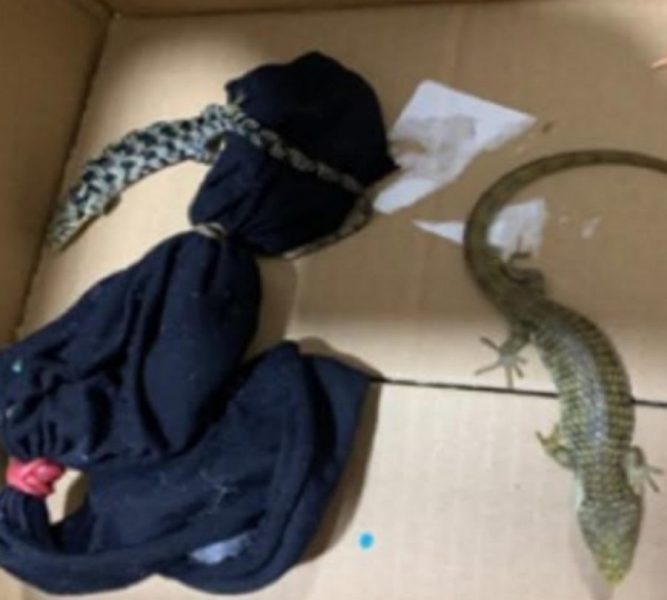 569a3891-94e5-4b60-82f8-b79fa92cf56d