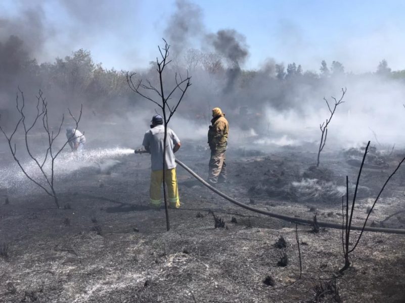 9dc08ecc-0fb9-4e59-81a2-8c90caa8dbbc