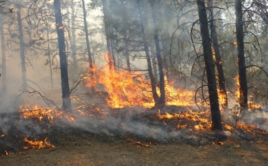 del-al-de-mayo-se_0_60_469_292