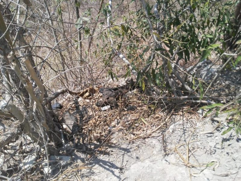 ed76d7bb-3ff1-4d55-aef3-df72c7d456fd