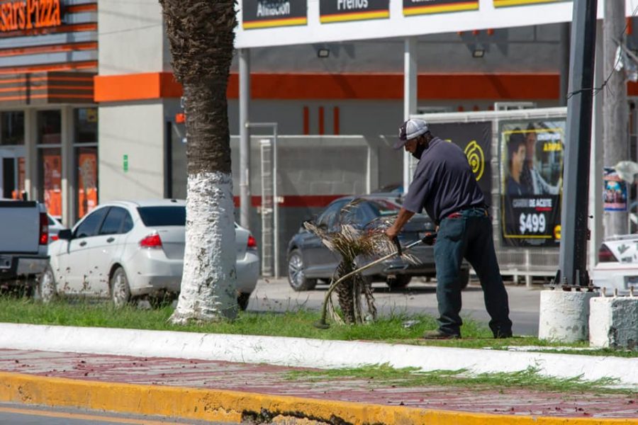 197385745_4334147093283323_6499722414075263314_n