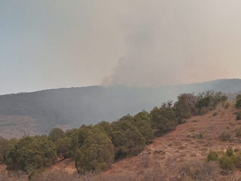 b83e7ce5-c2d7-45fb-88ef-2854276b876e