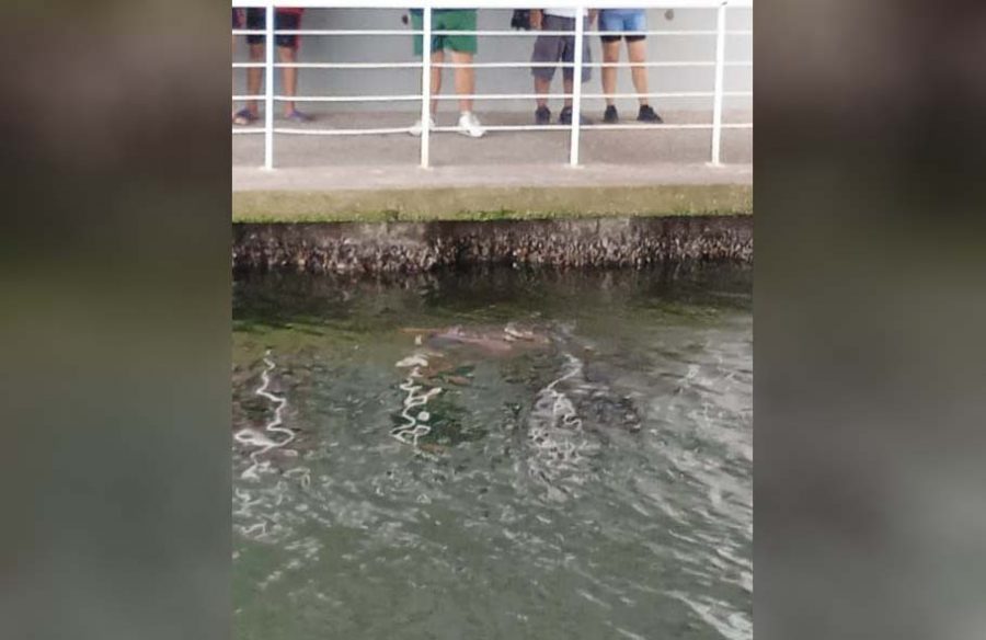 5c129a82-9e89-48cd-baf0-eddcd8824c12