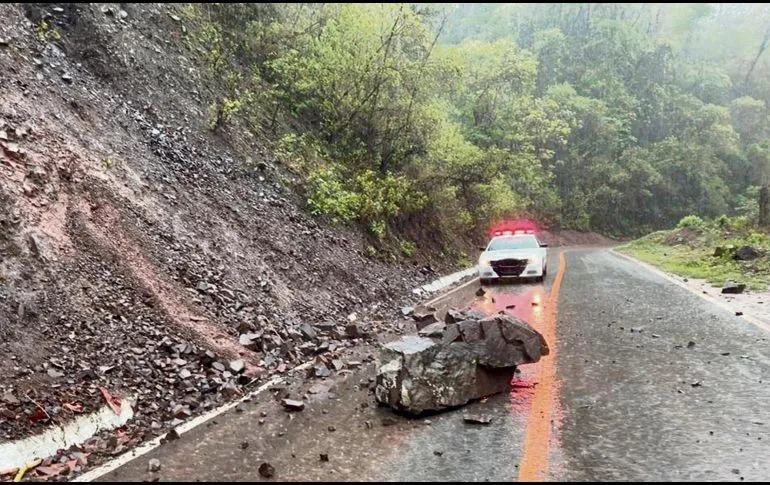 8e101a7c-5fec-486b-8623-939b2bb658ed