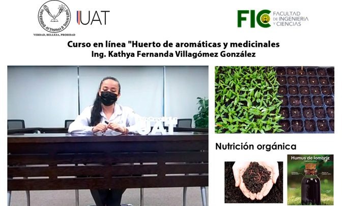 d6534505-7df2-4a61-81cb-a0ce191b4cd0