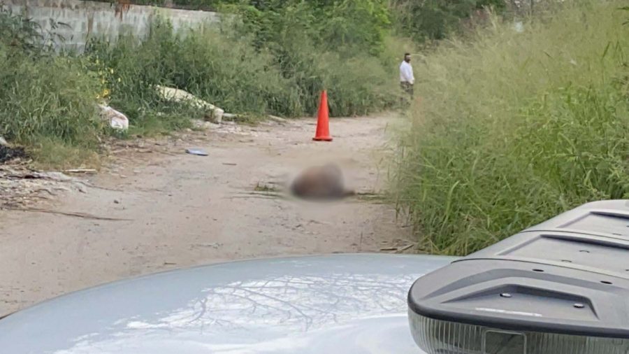 22ebaf54-3045-4795-902f-2cf9b9ecedb6