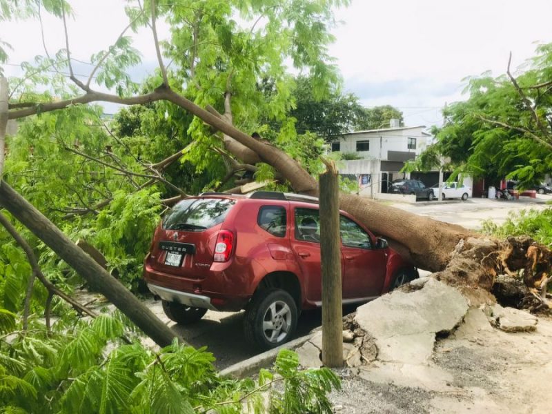 99586478-fdad-4438-8978-4a28a1cf6dd1