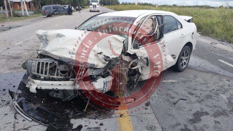 e7e07833-f7f7-4eff-be35-8e5cd386906f