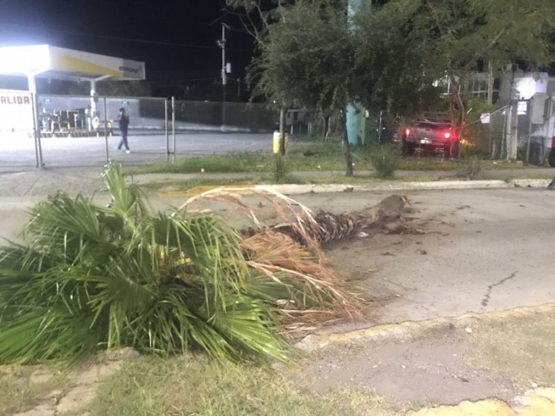 15185cdc-63f5-43a0-ae39-dd70f89ee904