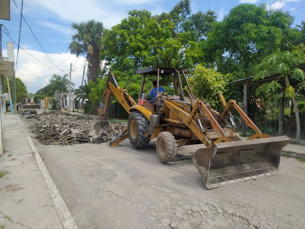 241449522_692295375020446_6223426221714687758_n