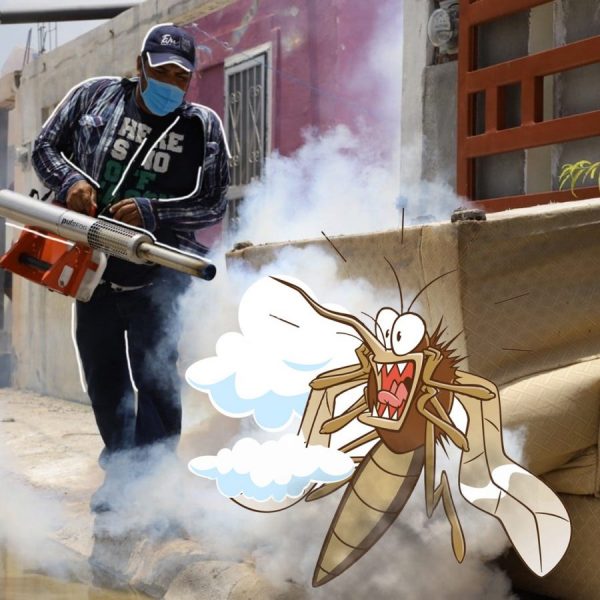 SST-260-2021.-Conmemora Tamaulipas Día Internacional contra el Dengue con acciones de prevención (2)