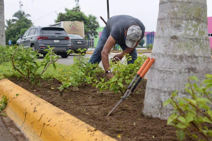 4WhatsApp Image 2021-09-08 at 15.42.19 (1)