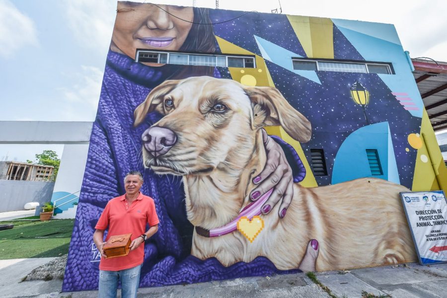 586b0b3f-4a5e-42d9-aaf0-f6dc2e6330b5