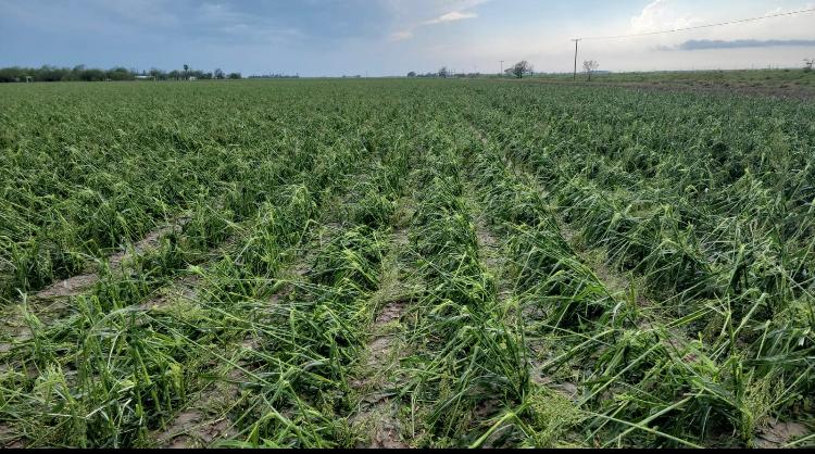 A4387201-0D52-4505-B7A8-1938BC85883C