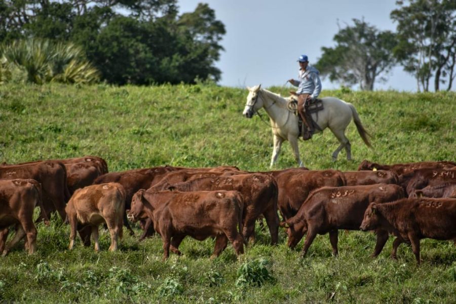 BE60D30E-82F6-4929-8EDC-CEB2A74450AC