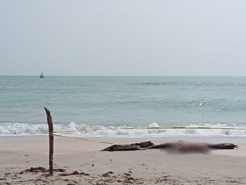 7e06b8a0-8589-4cd0-afb9-4e7a0b4e67c5