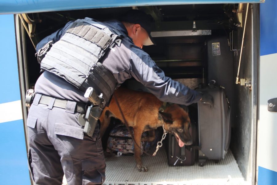 8C2CB8DC-B713-4A7A-9E46-FF4B00429246