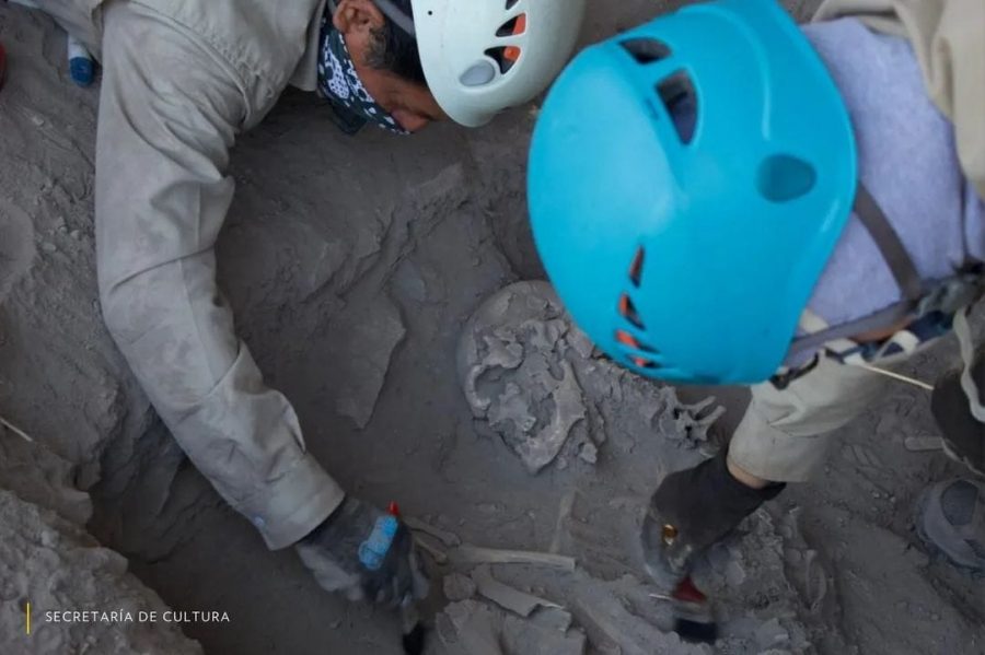 ff3c8f26-349b-460c-bf31-b5baa67576db