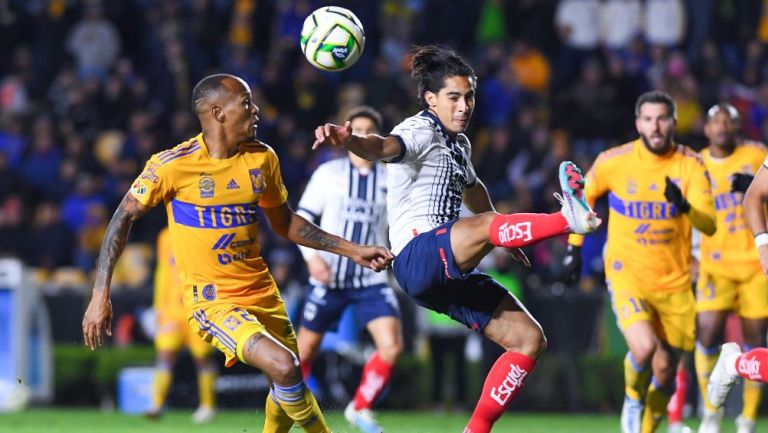 tigres-rayados