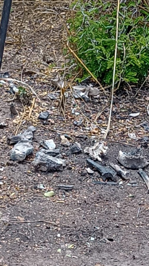 204B4F86-678B-4BE9-881F-62AF90D8EEF3