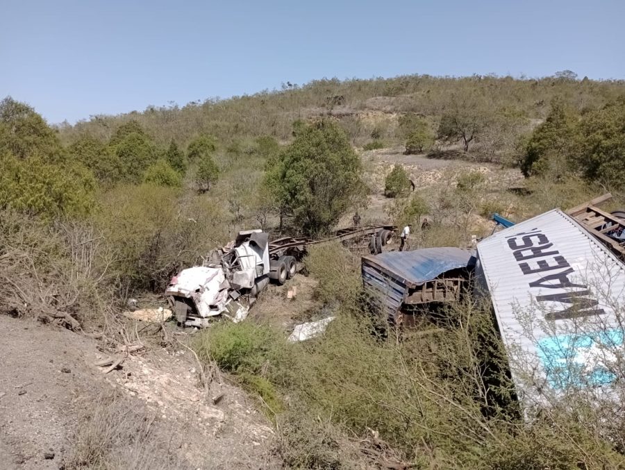 2b2118c7-1e3a-488d-a884-f65dbbb90c0b