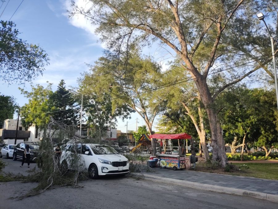 774542a3-9067-4609-9eae-5dd5675bcab6