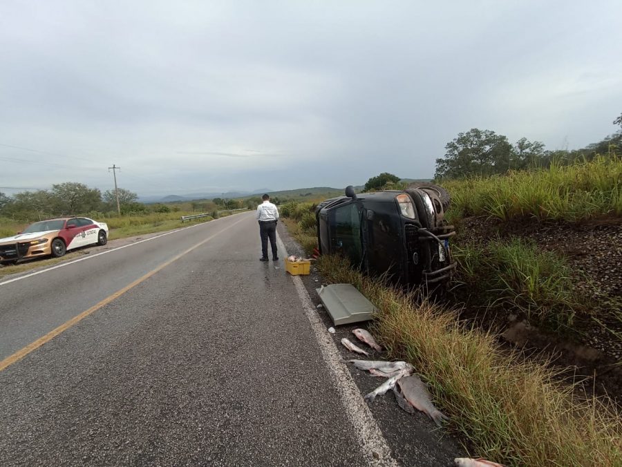 800AF60D-7437-4236-BD85-1407A2B84EEE