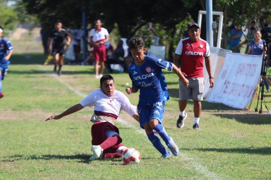 938f374c-d7a3-4bfe-a759-d0e065538391