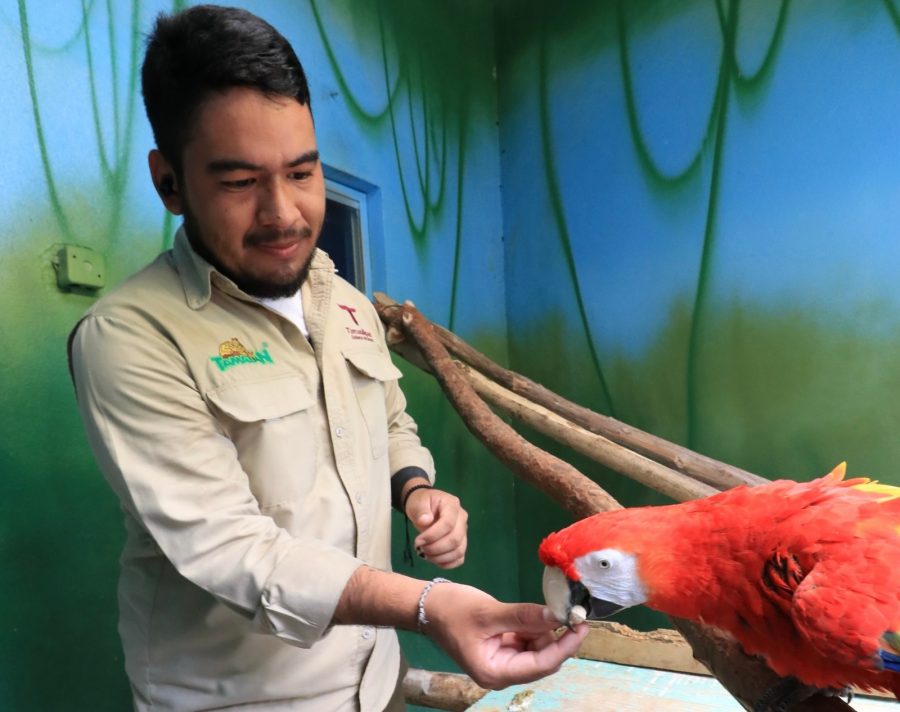 e28731e2-ae5c-4639-906c-3429dab85bb2