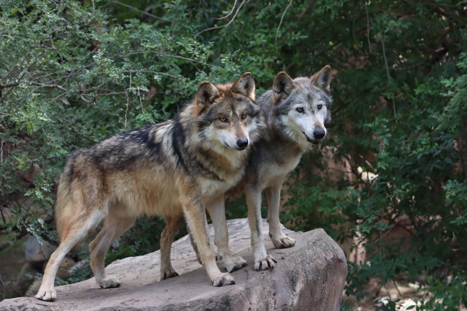 5fc7dc2b-2ec5-420d-9979-eb66872a13f7