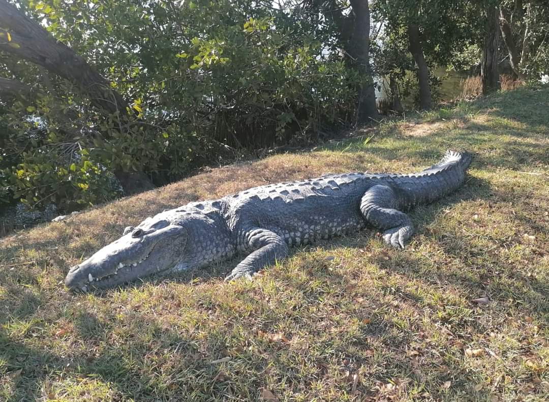 ed2274ca-dd95-40d2-ad04-787ed7ca8bcd