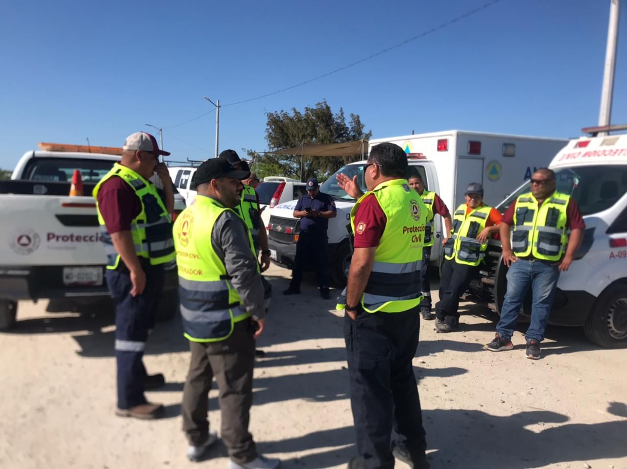 1441a4e9-1711-45b7-b066-9d3c16b01505