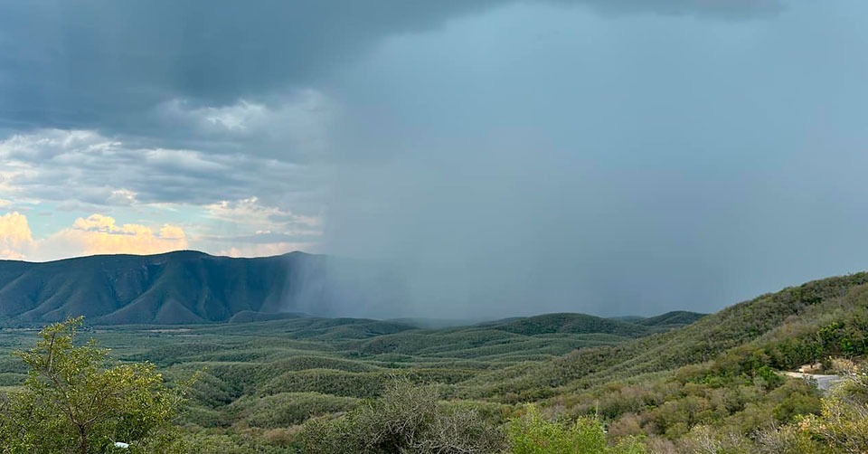 21c91386-84dd-4226-b4b9-beda10363049