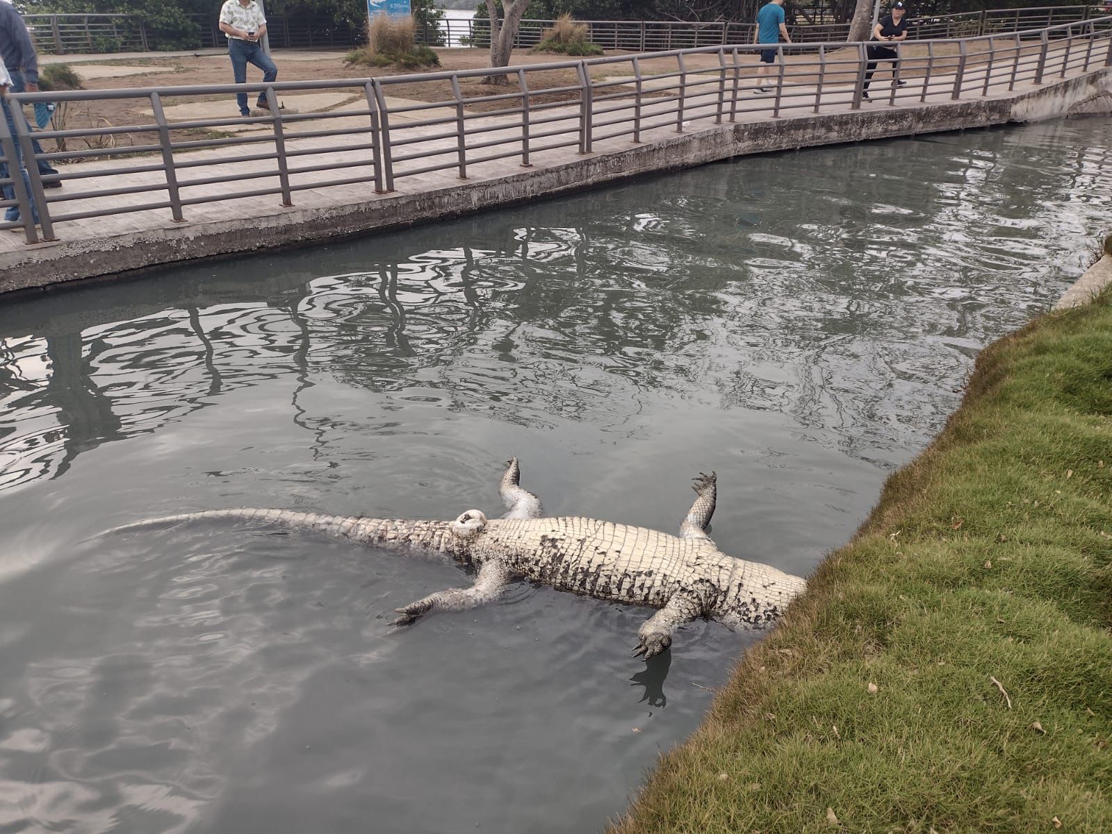 feed743b-bb76-45ff-90e7-82ef835630c3